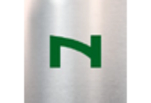 High Purity Pig Iron Market
 key player