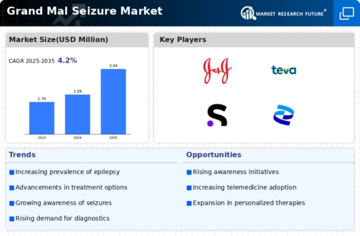 Grand Mal Seizure Market Infographic