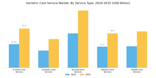Geriatric Care Service Market Segment Image 0