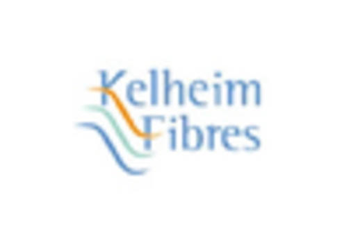 Lyocell Fiber Market
 key player