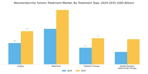 Neuroendocrine Tumors Treatment Market Segment Image 0