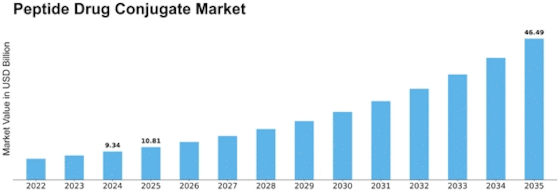 Peptide Drug Conjugate Market Size