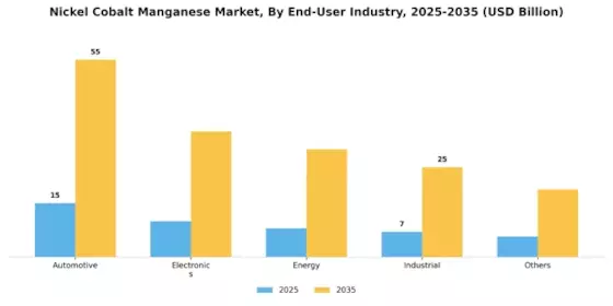 Nickel Cobalt Manganese Market Segment Image 3