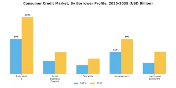 Consumer Credit Market Segment Image 0