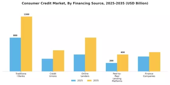 Consumer Credit Market Segment Image 1