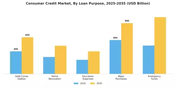 Consumer Credit Market Segment Image 2