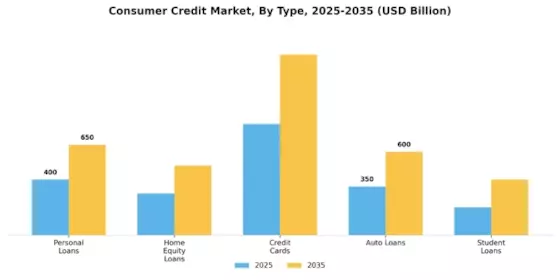 Consumer Credit Market Segment Image 4