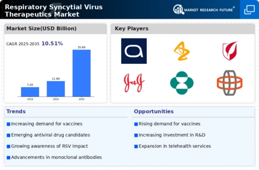 Respiratory Syncytial Virus Therapeutics Market Infographic