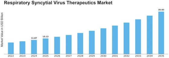 Respiratory Syncytial Virus Therapeutics Market Size