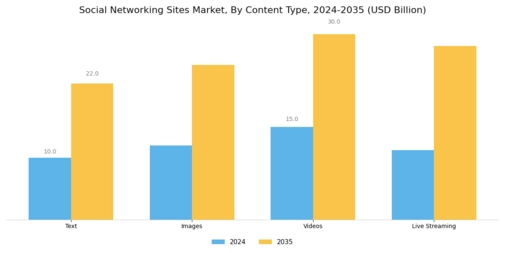 Social Networking Sites Market Segment Image 1