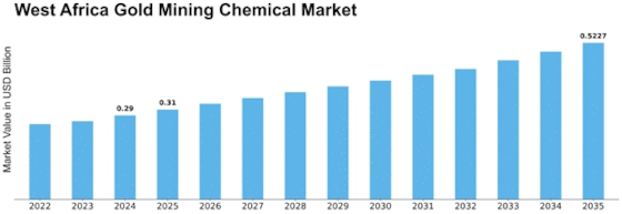 West Africa Gold Mining Chemical Market Size