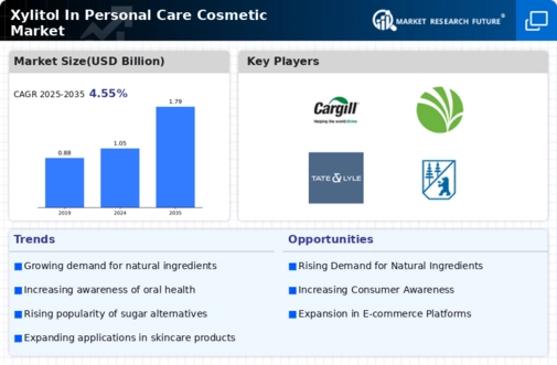 Xylitol In Personal Care Cosmetic Market Infographic