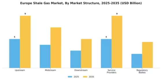Ukraine Shale Gas Market Segment Image 2