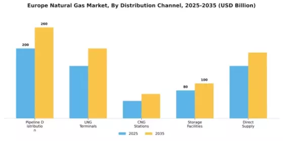 Ukraine Natural Gas Market Segment Image 1