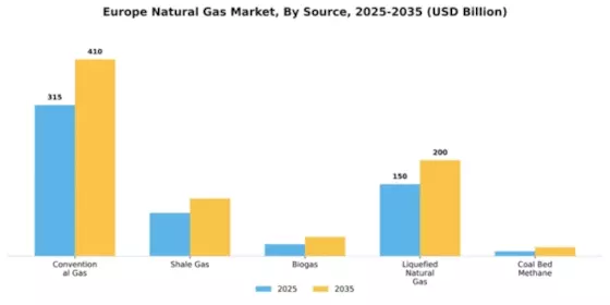 Ukraine Natural Gas Market Segment Image 3