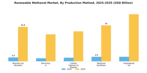 Renewable Methanol Market Segment Image 4
