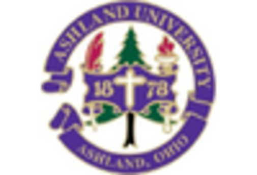 Sodium Cocoyl Glutamate Market key player