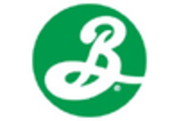 Black Beer Market
 key player