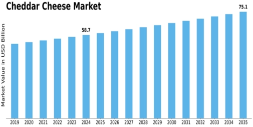 Cheddar Cheese Market
 Size