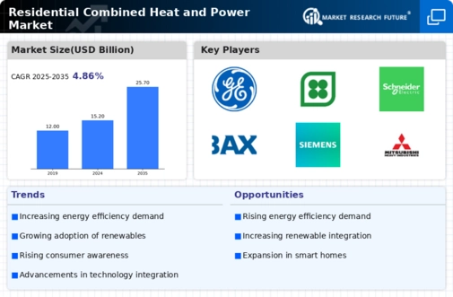 Residential Combined Heat And Power Market Infographic