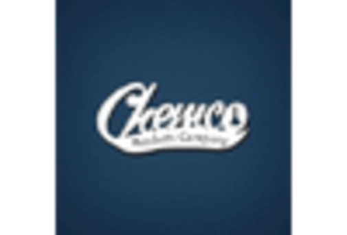 Asphalt Modifiers Market key player