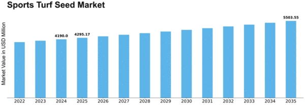 Sports Turf Seed Market Size