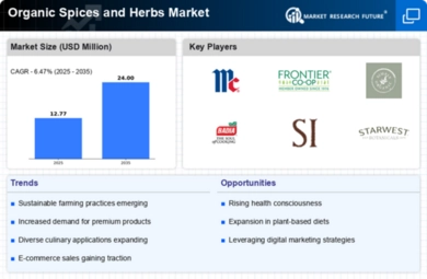 Organic Spices Herbs Market Infographic