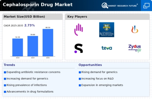 Cephalosporin Drug Market Infographic