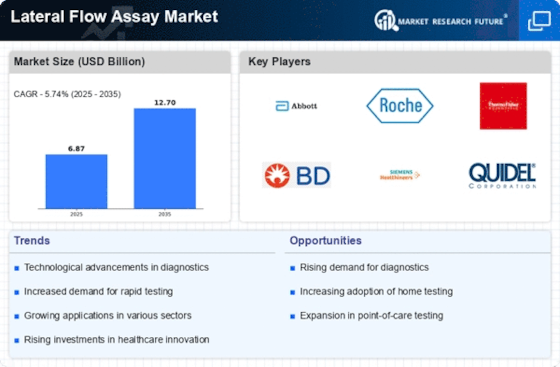Lateral Flow Assay Market Size, Share, Trends, Growth 2035