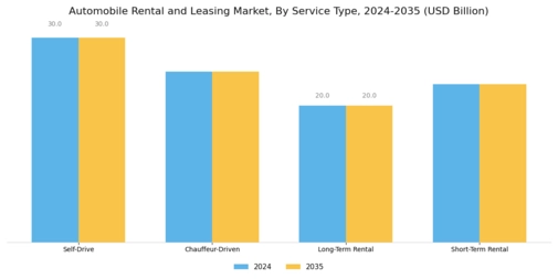Automobile Rental Leasing Market Segment Image 0