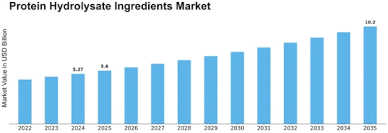 Protein Hydrolysate Ingredients Market Size