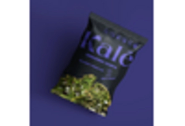 Kale Chip Market key player