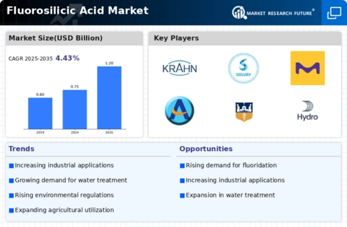 Fluorosilicic Acid Market Research Report - Global Forecast by 2035 Infographic