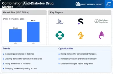 Combination Anti Diabetes Drug Market Infographic