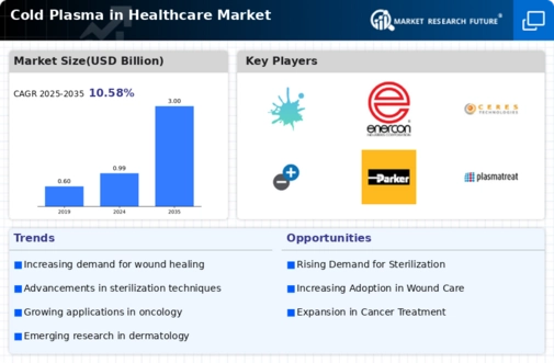 Cold Plasma In Healthcare Market Infographic