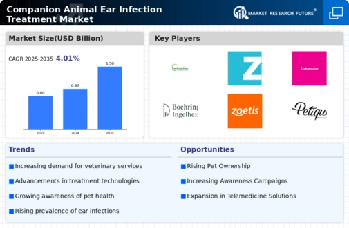 Companion Animal Ear Infection Treatment Market Infographic