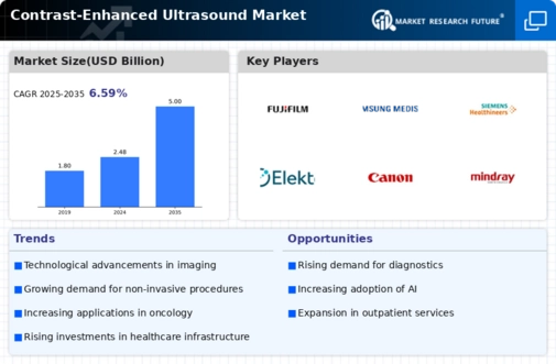 Contrast Enhanced Ultrasound Market Infographic