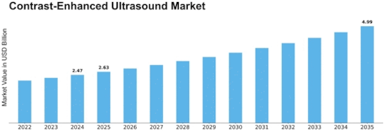 Contrast Enhanced Ultrasound Market Size