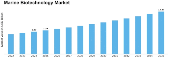 Marine Biotechnology Market Size