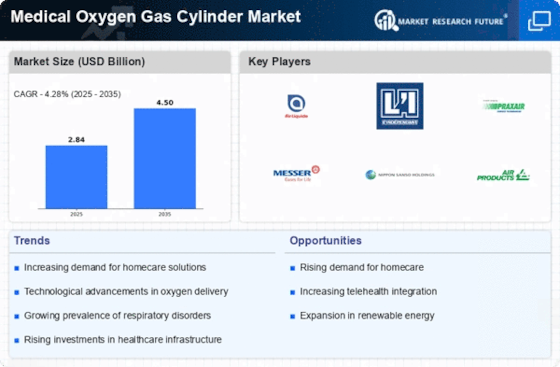 Medical Oxygen Gas Cylinder Market Infographic
