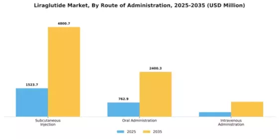 Liraglutide Market Segment Image 3