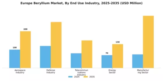 Ukraine Beryllium Market Segment Image 1
