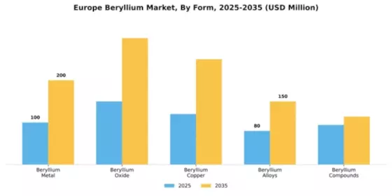 Ukraine Beryllium Market Segment Image 2