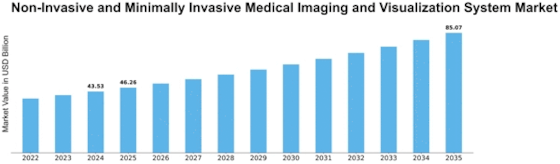 Non Invasive Minimally Invasive Medical Imaging Visualization System Market Size