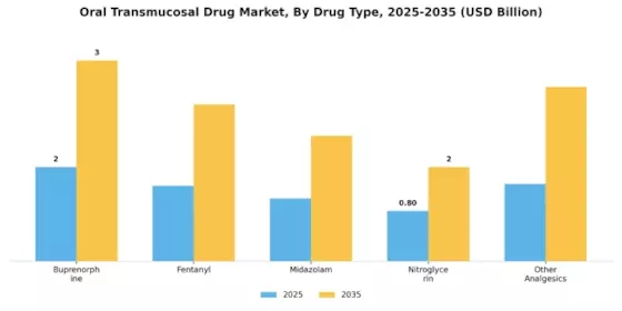 Oral Transmucosal Drug Market Segment Image 0