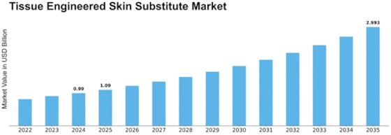 Tissue Engineered Skin Substitute Market Size