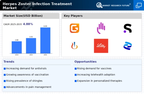 Herpes Zoster Infection Treatment Market Infographic