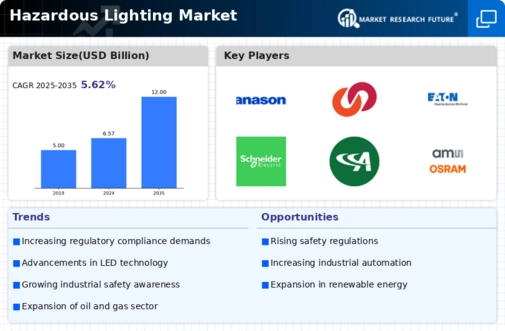 Hazardous Lighting Market Infographic