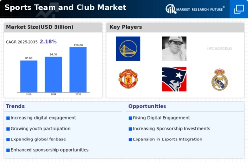 Sports Team Club Market Infographic