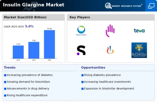 Insulin Glargine Market Infographic
